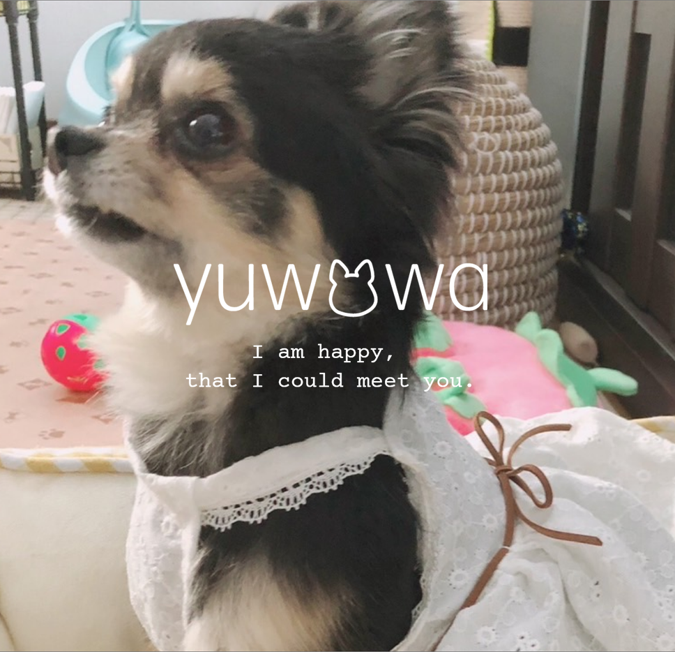 保護犬と手作りわんこ服 yuwawa