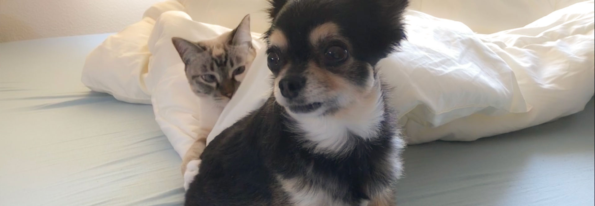 CONTACT イメージ画像