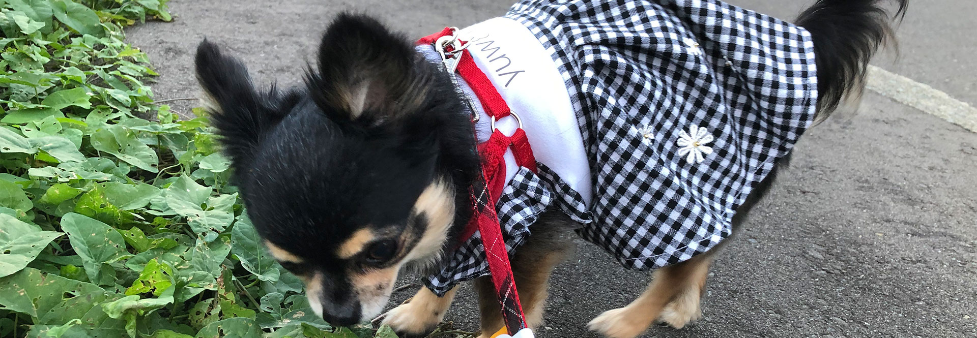 FAQ イメージ画像