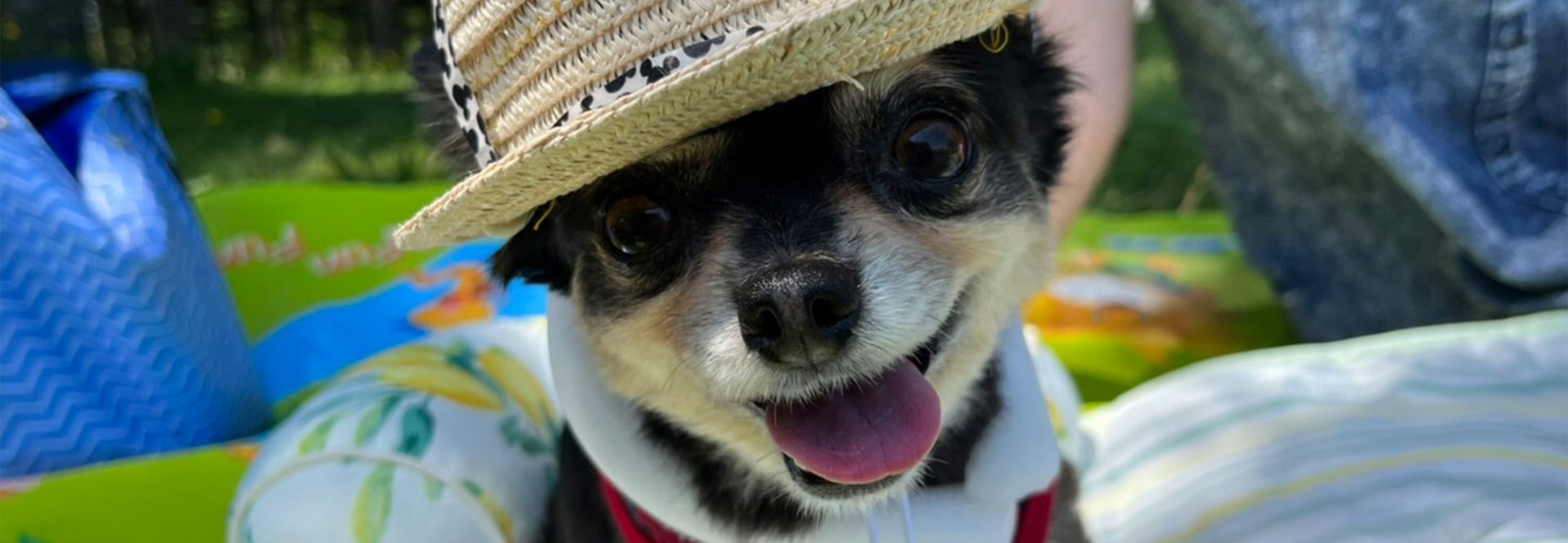 NEWS イメージ画像