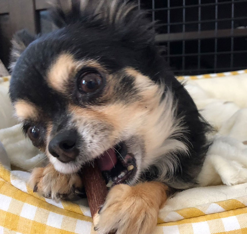 里親になる際の悩み イメージ画像02